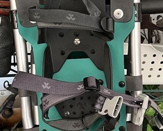 Snowshoes