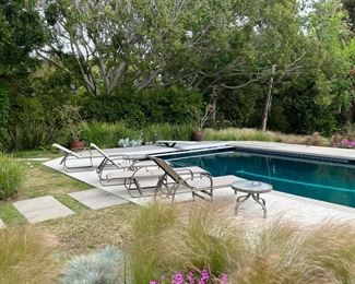 lounge chairs and potted plants 