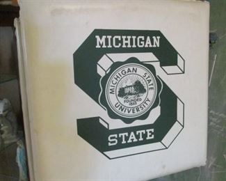 Michigan State Cushions