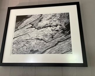 Framed Photography of Wood