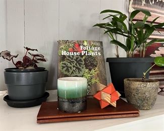 Indoor Potted Plants, Interlocking Wooden Pointed Star Puzzle