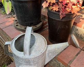 Corrugated Metal Watering Can, Potted Coral Bells