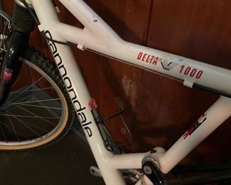 Cannondale Delta V 1000 Bicycle