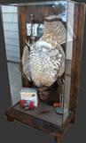 1990's Glass encased Taxidermy Diorama of hanging Grouse w/other hunting supplies, etched signature of Frank K. Newmyer (World Champion Taxidermist)