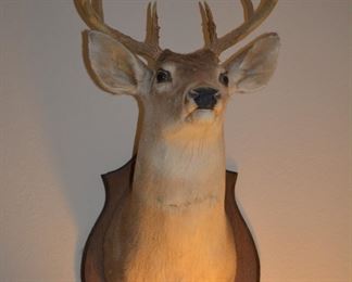 Deer mount 