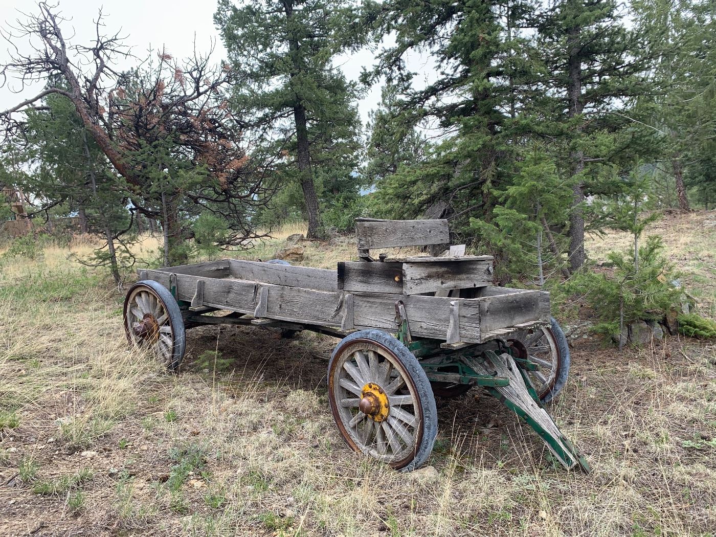 Antique buckboard wagon