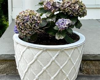 Woven Planter with Purple Hydrangea