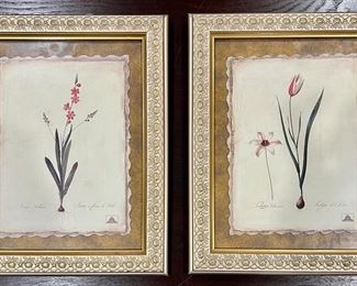 (2) Botanical Prints