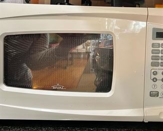Rival Microwave