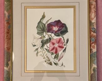 "Sweet Pea" Botanical Print