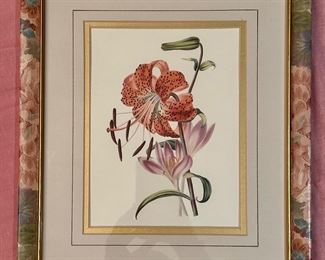 "Tiger Lily" Botanical Print