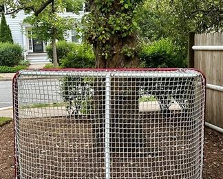 Hockey Net