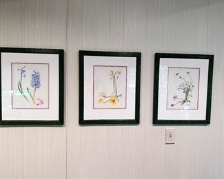 Set of 3 framed botanical prints.