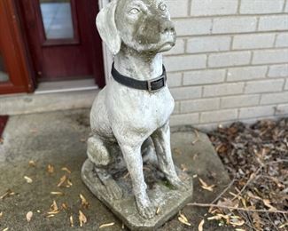 Large regal concrete labrador statuary.