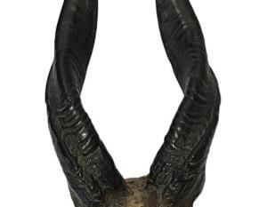 Animal Skull Wall Decor