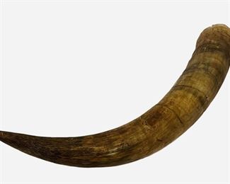 Animal Horn