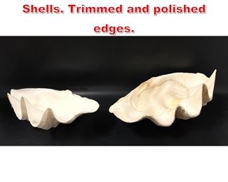 Lot 230 2pc Natural Giant Clam Shells. Trimmed and polished edges. 
