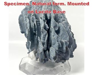 Lot 250 Blue Coral Sea Life Nature Specimen. Natural form. Mounted on Lucite Base