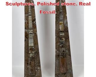 Lot 325 Pair Orthoceras Pyramid Sculptures. Polished stone. Real Fossil. 