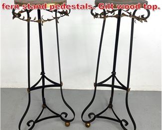 Lot 514 Pr Decorative Wrought iron fern stand pedestals. Gilt wood top. 