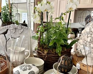 Freshly panted herb basketsm vintage china pieces, white serving ieces...this kitchen is awesome