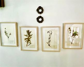 Real - antique botanicals - must see to appreciate