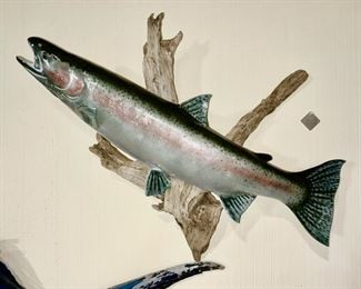Closeup view of fish with driftwood background