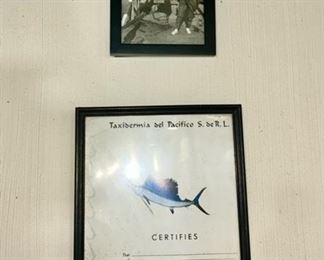 Paperwork on Blue Marlin catch