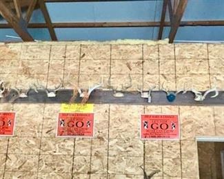 Vintage wood boards w/ deer horns