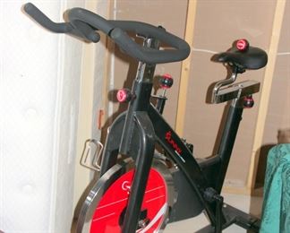 Sunny Exercise Bike