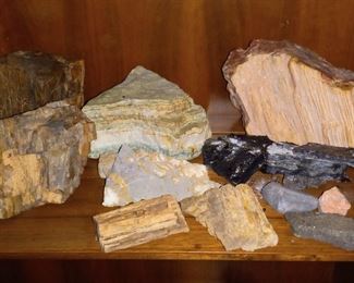 Petrified rock collection