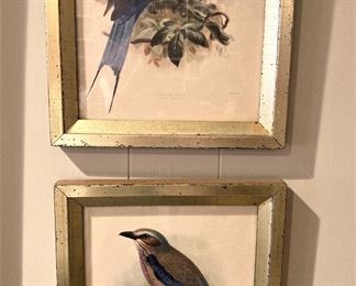 Framed birds