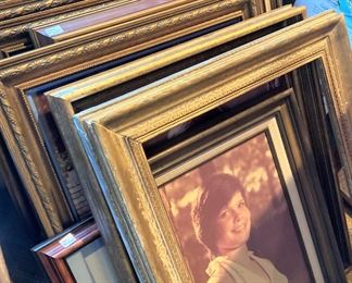 Some of the many frames