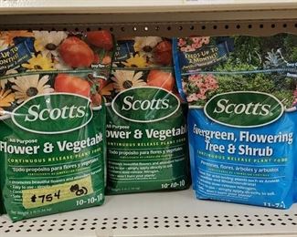 Scotts Plant