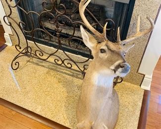 fireplace screen and deer mount