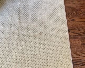 Neutral Area Rug with Light Green Checks. Photo 1 of 3.