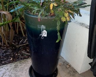 Tall Michael Carr cobalt blue planter with Christmas cactus $95