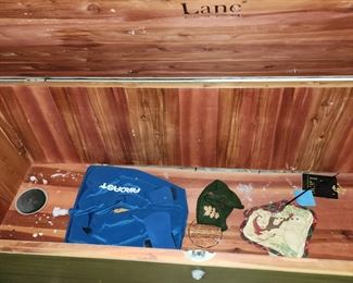 Inside Cedar Trunk - Sorry we will clean it up! 