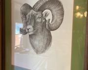 wsigned and numbered ram print2511 t