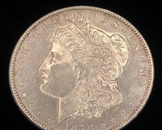 1878 1st year morgan coin