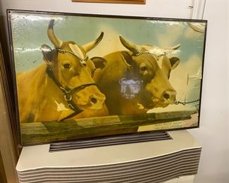 P32 - $30 Guernsey Cow picture (peeling edge)