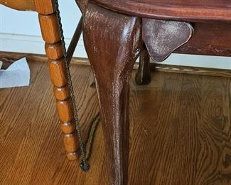 Detail of elephant trunk legs