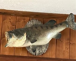 Caught a big one!