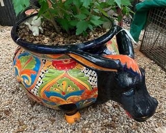 Lots of Talavera Pottery in the greenhouse
