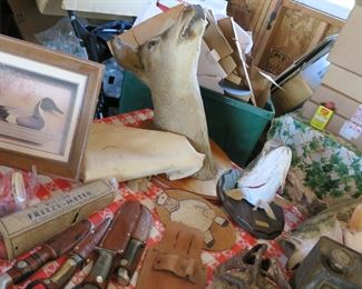 Rudy on the back of the table, he needs some love!!