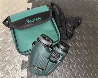 Alpen binoculars in case
