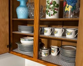 Mikasa maxima, PortMarion