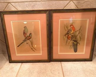 Audubon prints