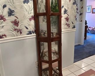 Curio for your special items!!