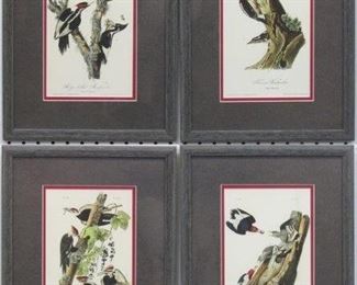 9003 - SET OF 4 WOODPECKERS BY JOHN AUDUBON 12 X 16
